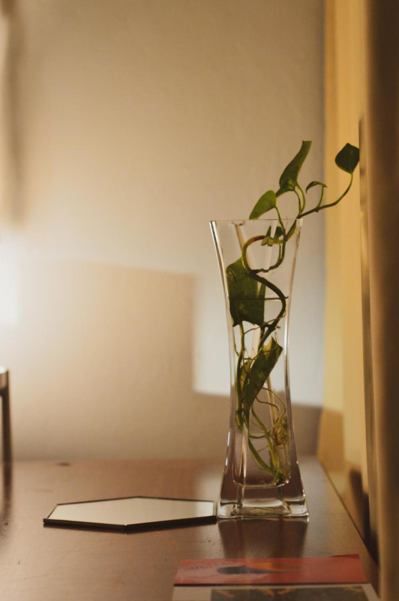 הוסטל לימסול Lima Sol House מראה חיצוני תמונה